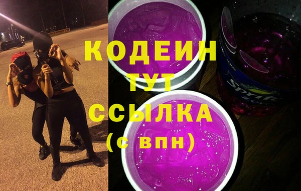 хмурый Липки