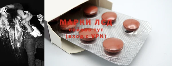 хмурый Липки