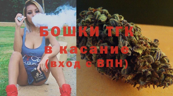 хмурый Липки