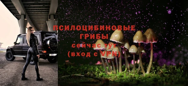 дмт Майский