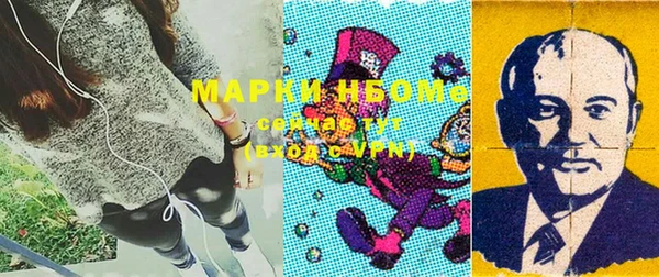 хмурый Липки