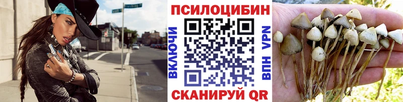 Псилоцибиновые грибы Psilocybe  нарко площадка состав  Красногорск  закладки 